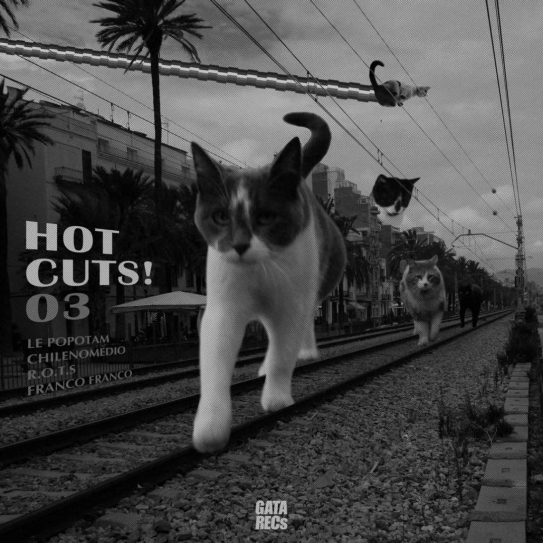 059. Various – Hot Cuts! 03