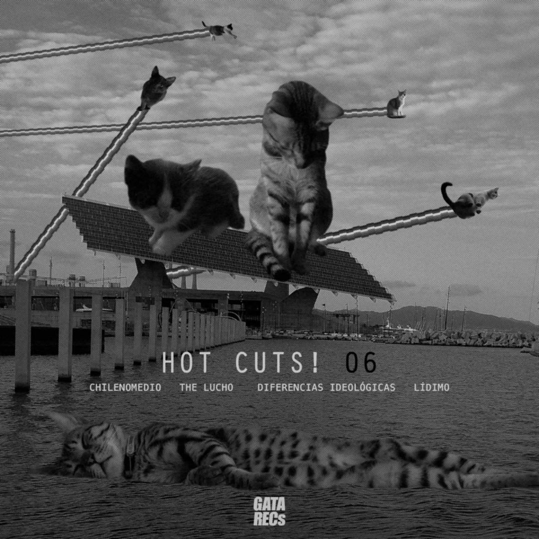 062. Various – Hot Cuts! 06