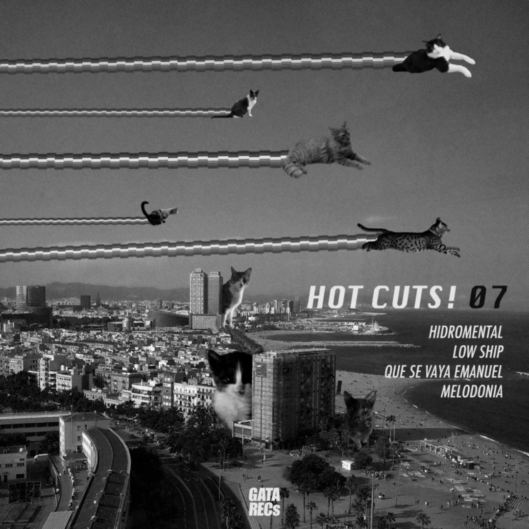 063. Various – Hot Cuts! 07